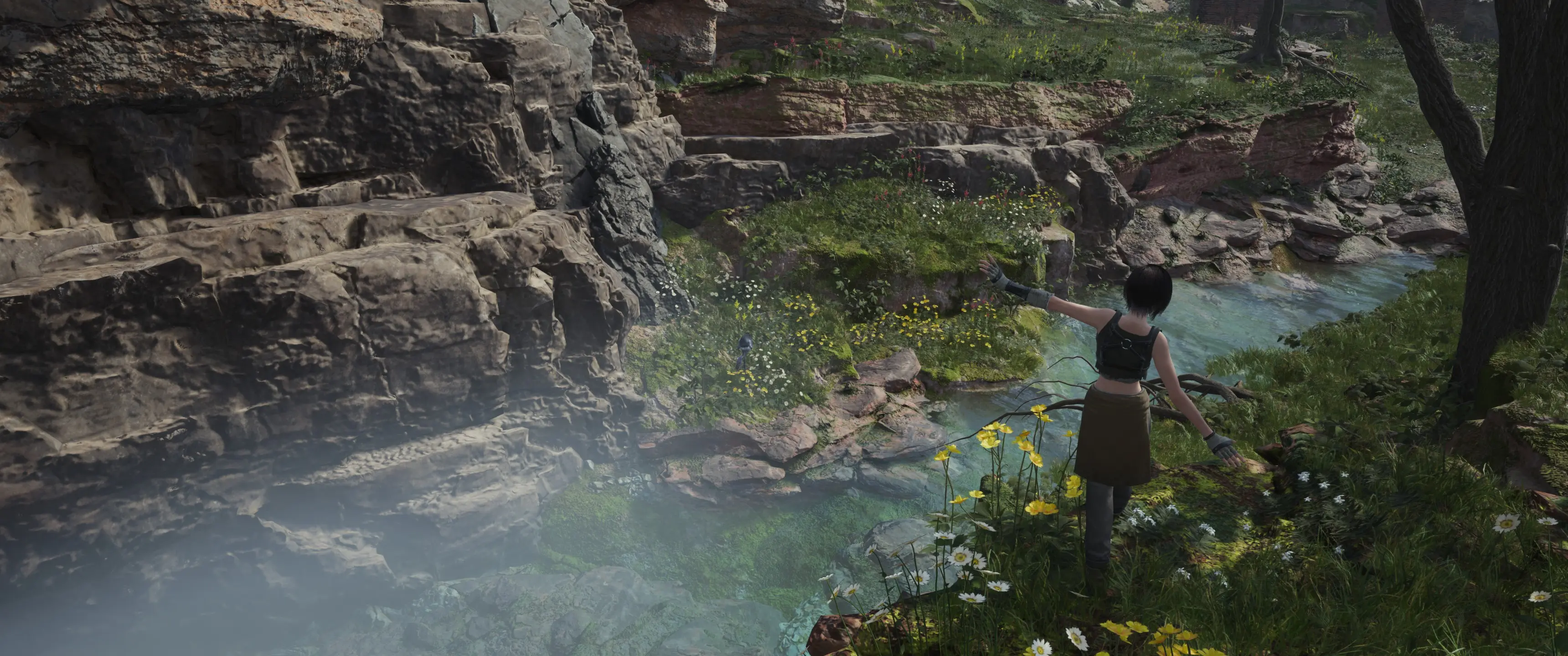 Vanilla grasslands05